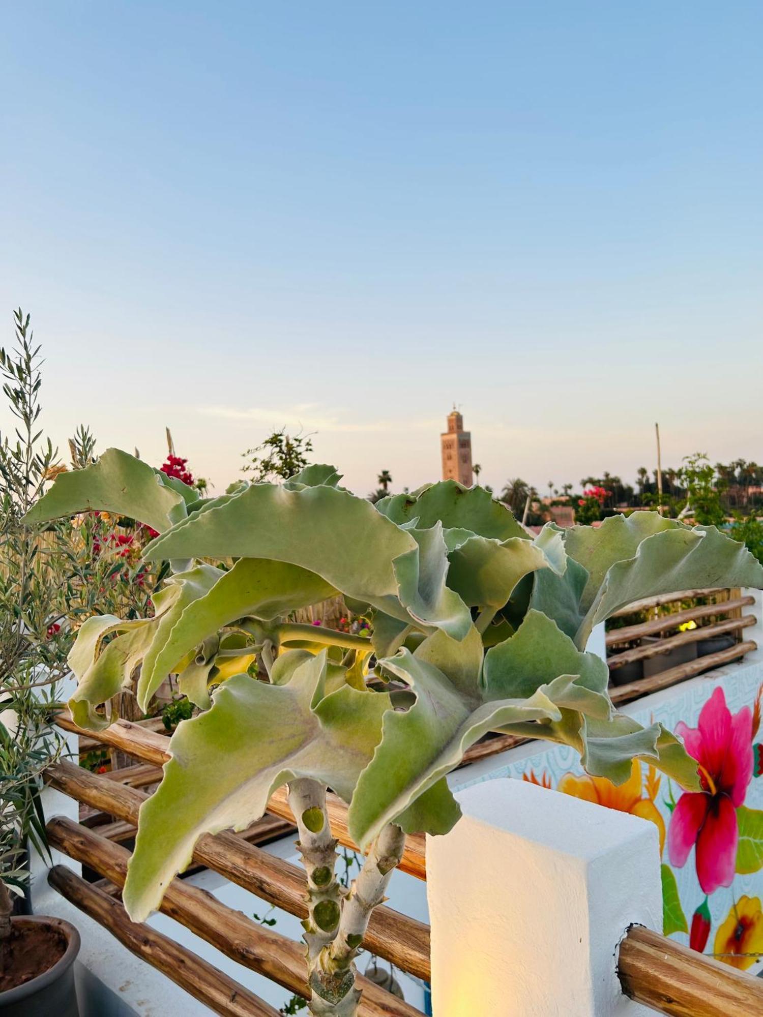 Riad Tsar Mimoun Marrakesh Exterior photo